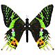 la_harpe